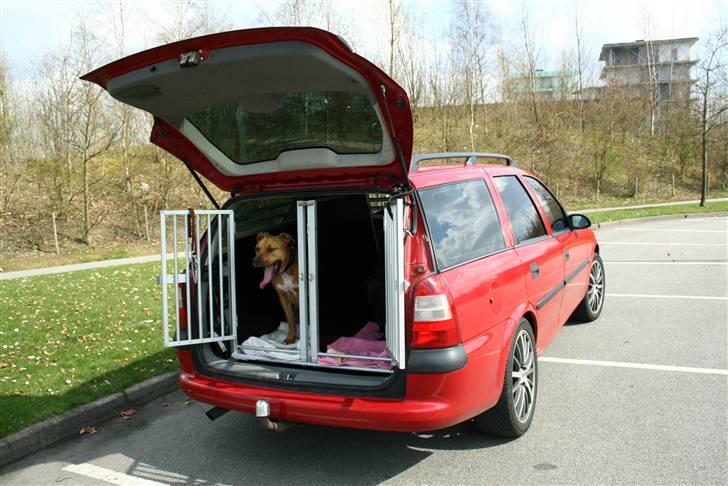 Opel vectra B solgt billede 11