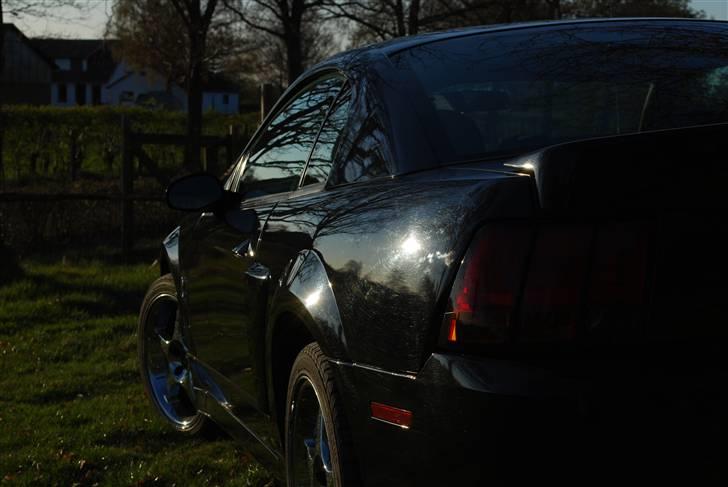 Ford Mustang SVT Cobra billede 8