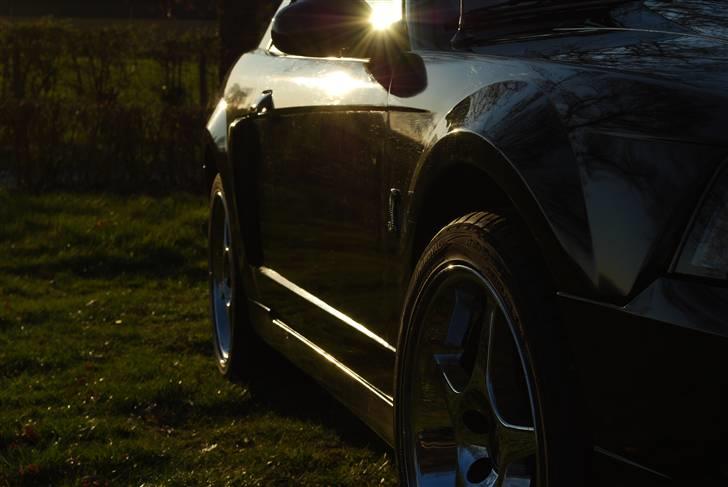 Ford Mustang SVT Cobra billede 9