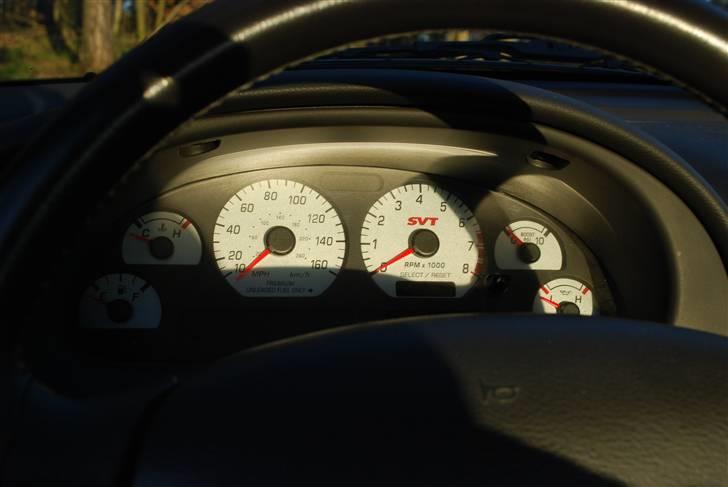 Ford Mustang SVT Cobra billede 10