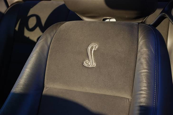 Ford Mustang SVT Cobra - Læder/Alcantara power seats. El-juster-bart 14 veje.  billede 12