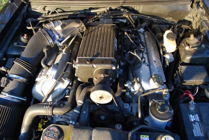 Ford Mustang SVT Cobra - Kraftværket. Det er lidt ærgeligt at man ikke kan se hvor store topstykkerne er billede 14