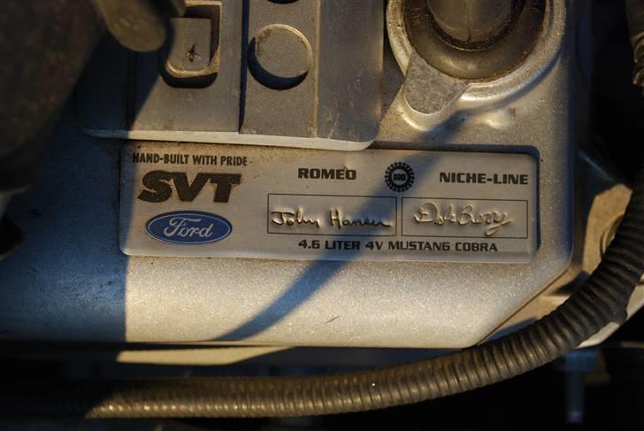Ford Mustang SVT Cobra - Hand-build with pride. Romed: John Hanner, Niche-line: Dale Bony. 4.6L 4V Mustang Cobra billede 15