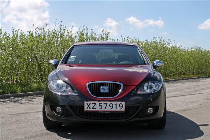 Seat leon billede 12