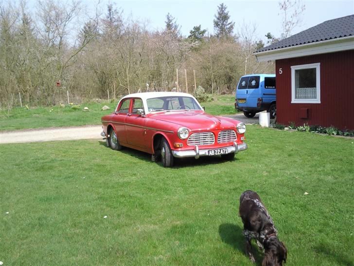 Volvo 122s amazon billede 9
