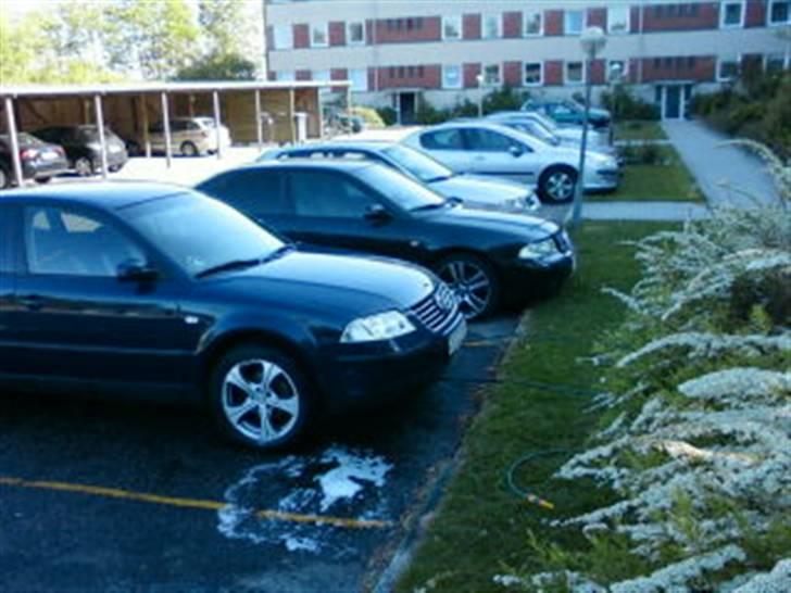 VW Passat 3BG  - kezi vs fido 8) billede 14