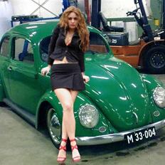 VW bobbel tybe 1 oval