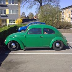 VW bobbel tybe 1 oval