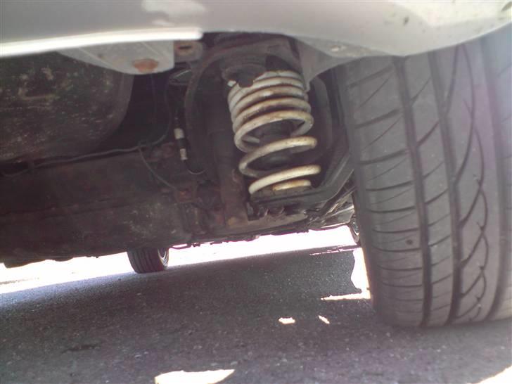 Fiat Punto 1,2 8v - De engang hvide Novitec sænknings fjedre billede 9