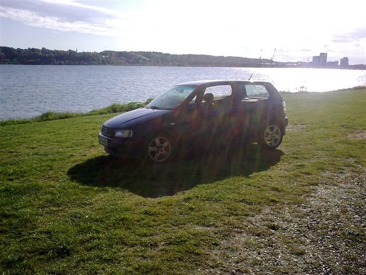 VW polo 6N  **Solgt** billede 3