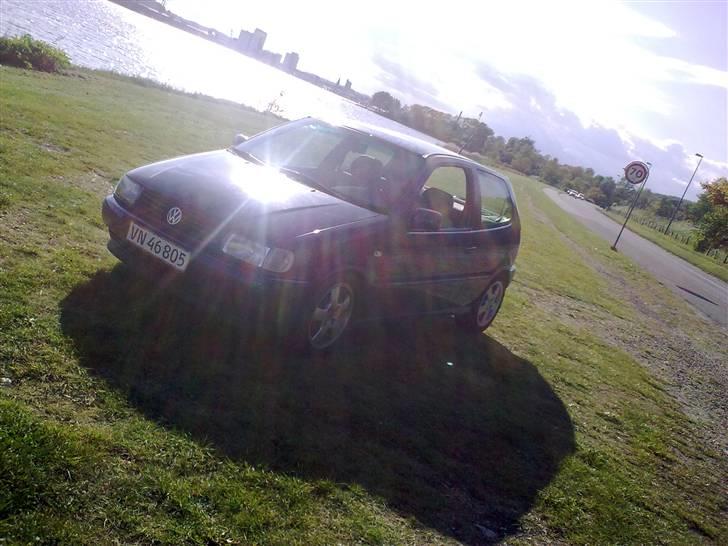 VW polo 6N  **Solgt** billede 6