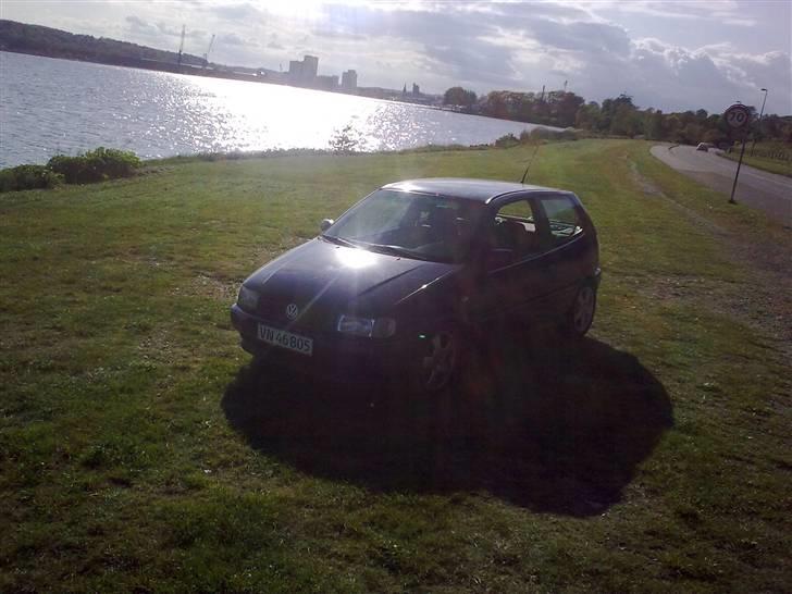 VW polo 6N  **Solgt** billede 9