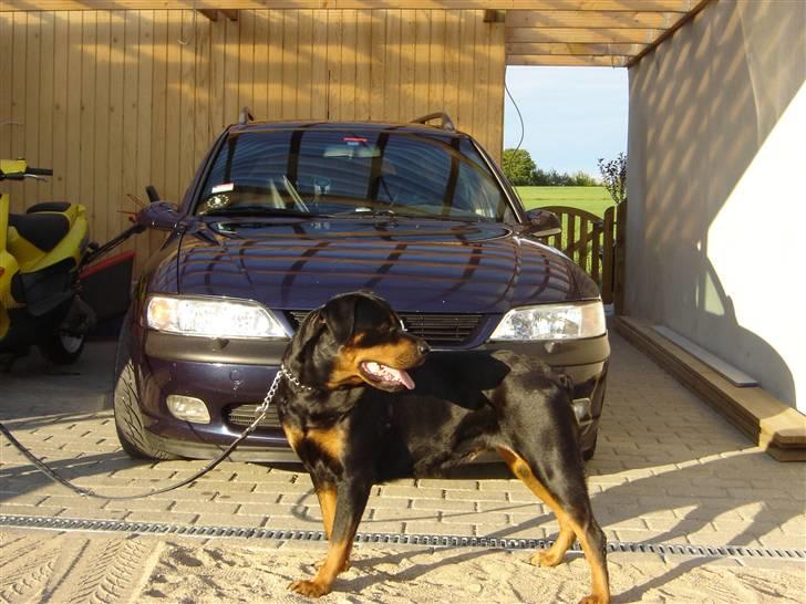 Opel Vectra B St.c Solgt - Min tyveri sikring billede 12