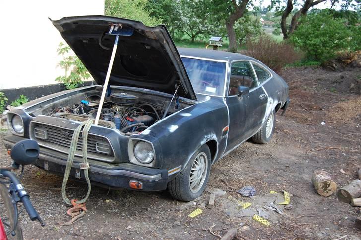 Ford Mustang II billede 1