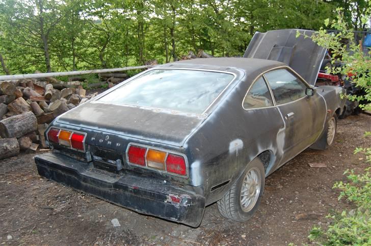 Ford Mustang II billede 4