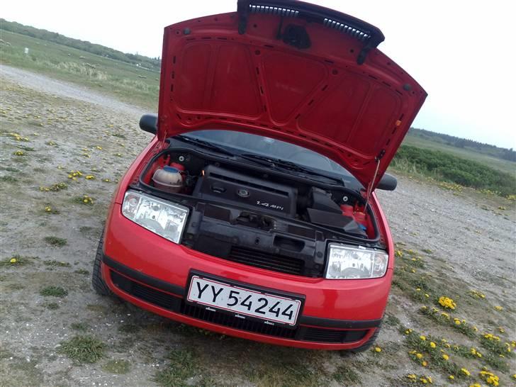 Skoda fabia billede 9