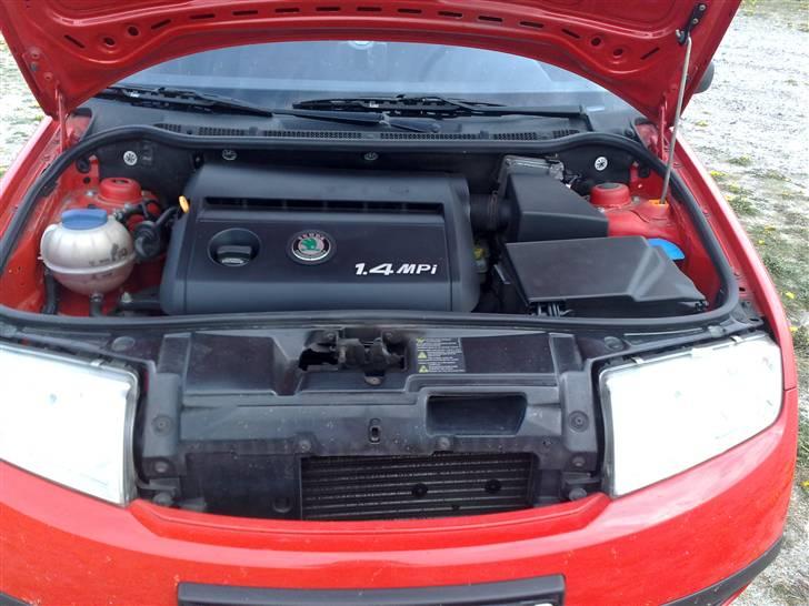 Skoda fabia billede 10