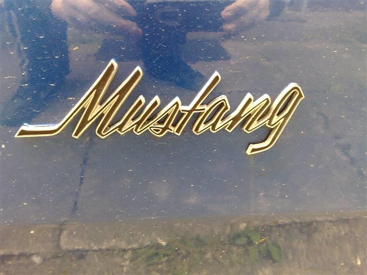 Ford Mustang billede 16