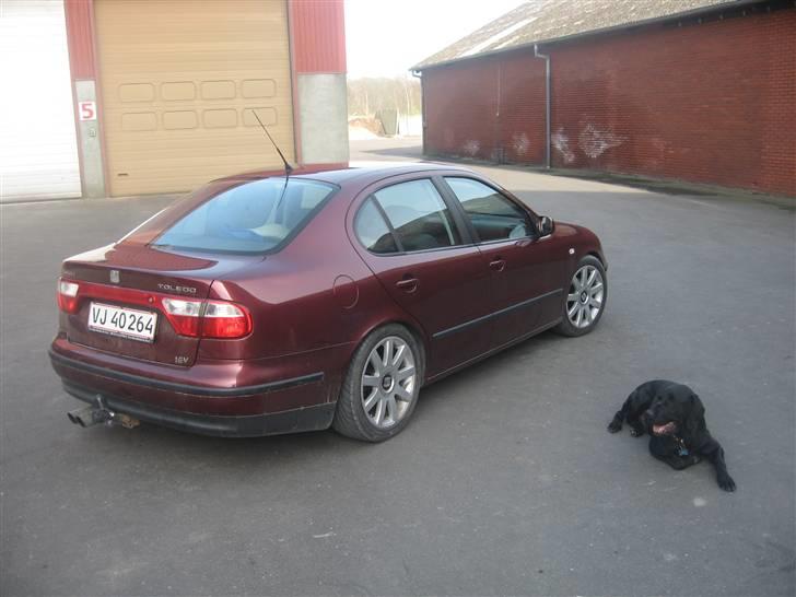 Seat Toledo 1,6 16V stella  billede 1