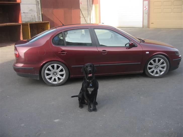 Seat Toledo 1,6 16V stella  billede 7