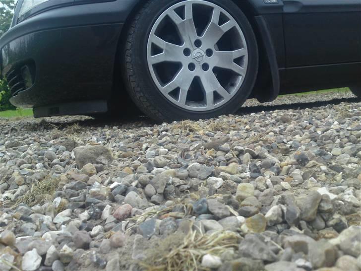 Opel Zafira 2.0 DTI 16v - her ses hvor lav den er. billede 6