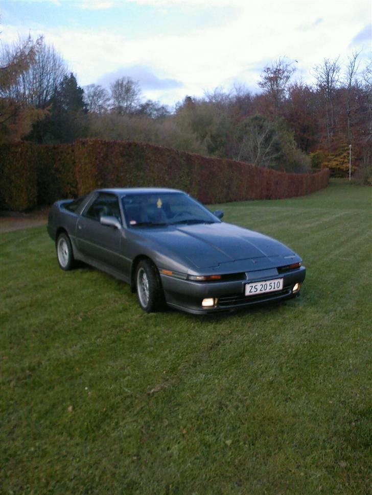 Toyota Supra 3,0I Turbo targa billede 1