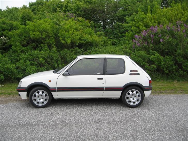 Peugeot 205 Gti billede 4