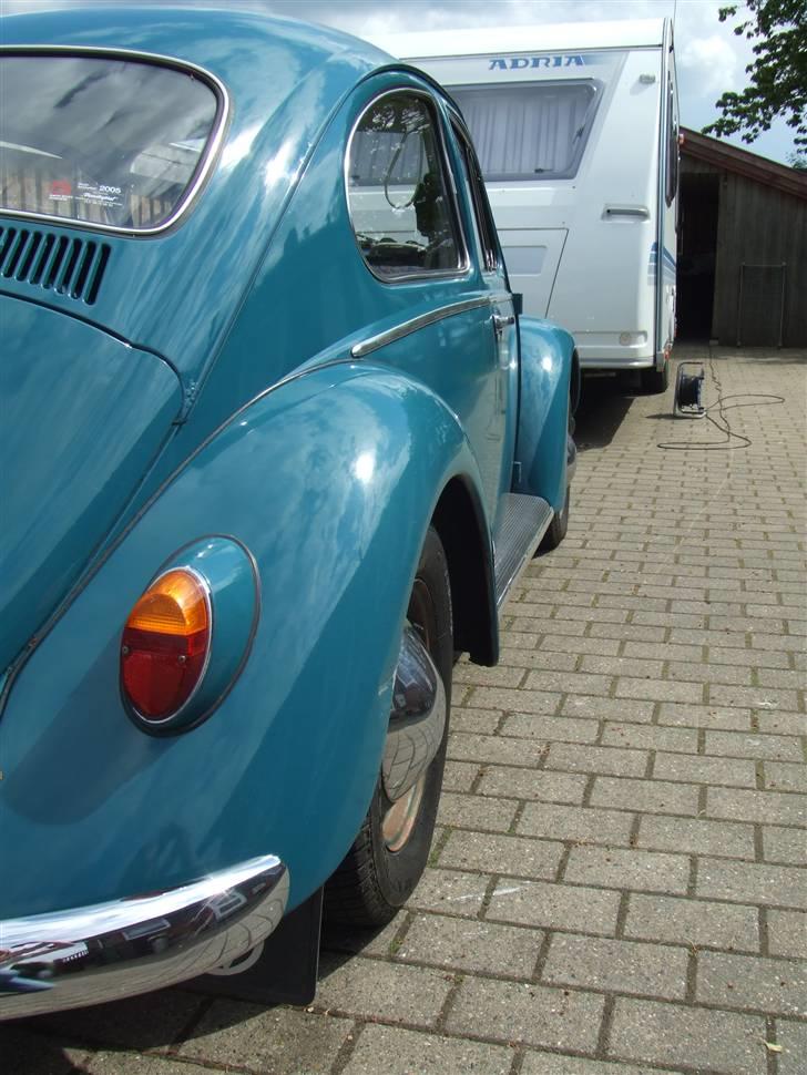 VW Type 1 "Bobbel" billede 14