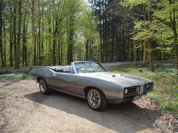 Pontiac GTO - Sommertur i skoven 26. april 2009, 17:13:45 billede 1
