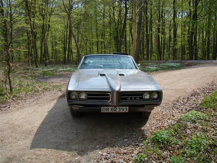 Pontiac GTO - Sommertur i skoven billede 2