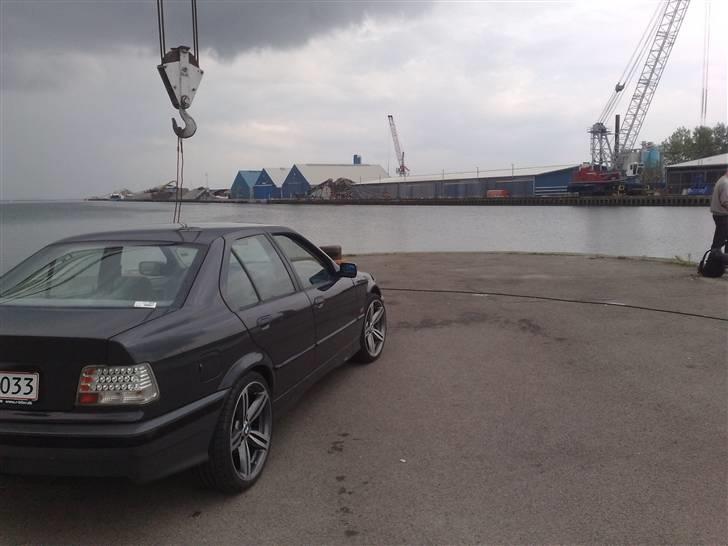 BMW e36 billede 10
