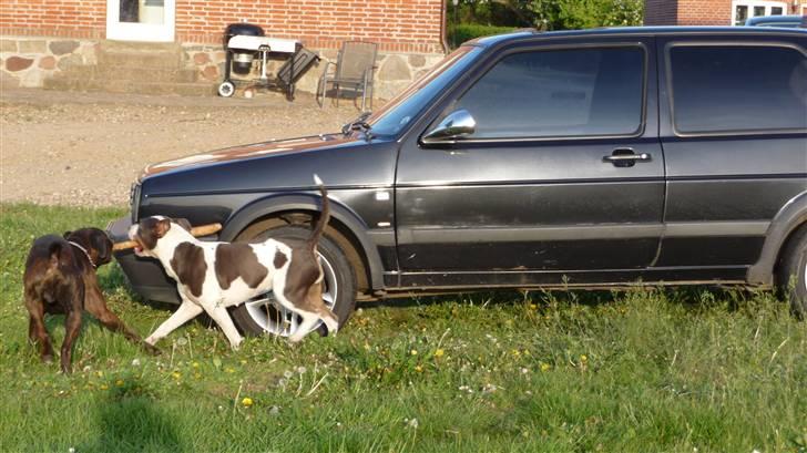 VW golf 2 tdi solgt billede 8