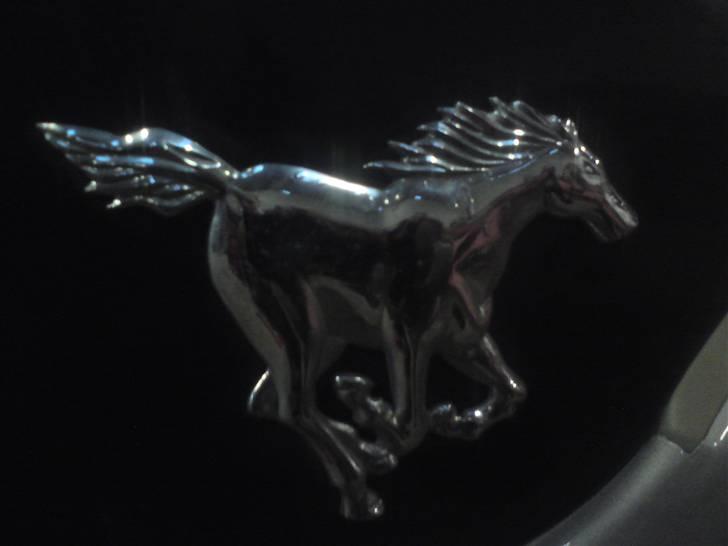 Hyundai galloper  4x4  5D   - Er kun til biler med heste logo ;) billede 8