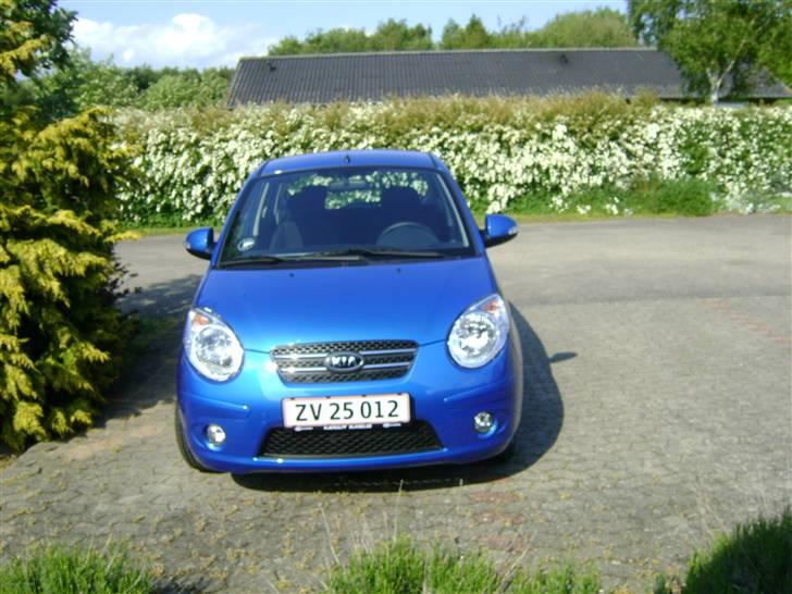 Kia Picanto  billede 1