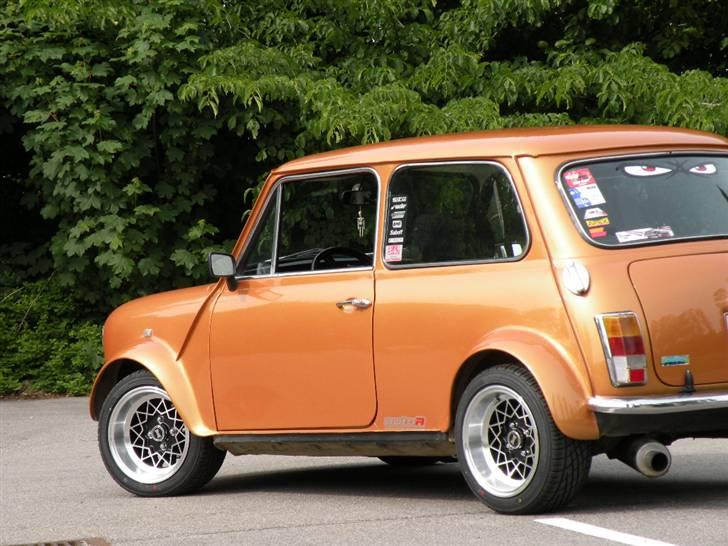 Mini Mascot - Austin - Morris billede 7