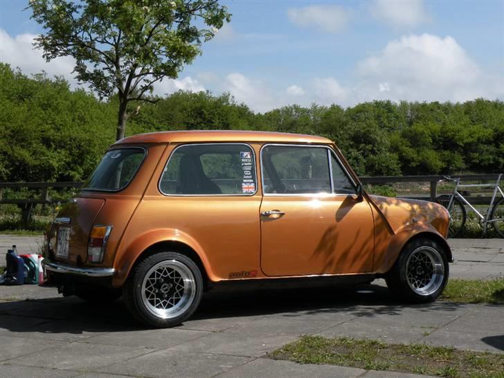 Mini Mascot - Austin - Morris billede 11