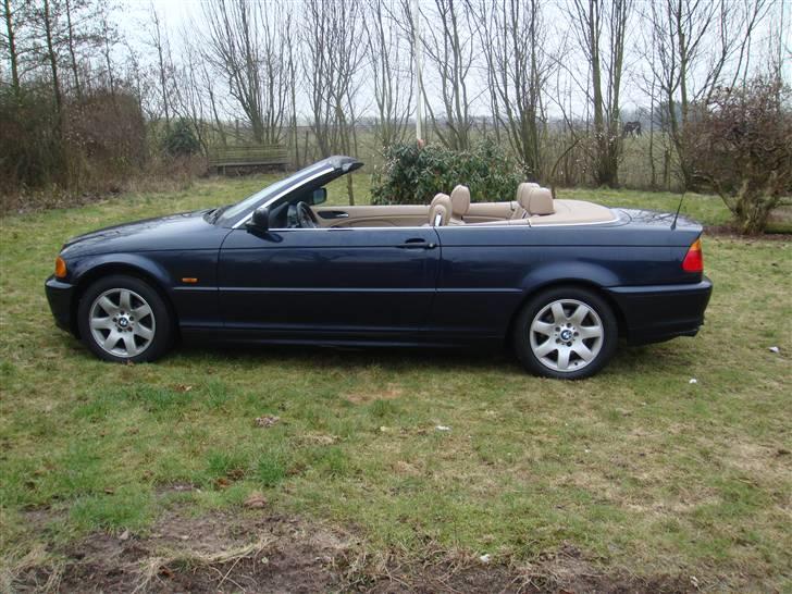 BMW 323i E46 Cabriolet billede 1