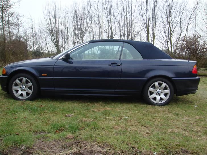 BMW 323i E46 Cabriolet billede 5