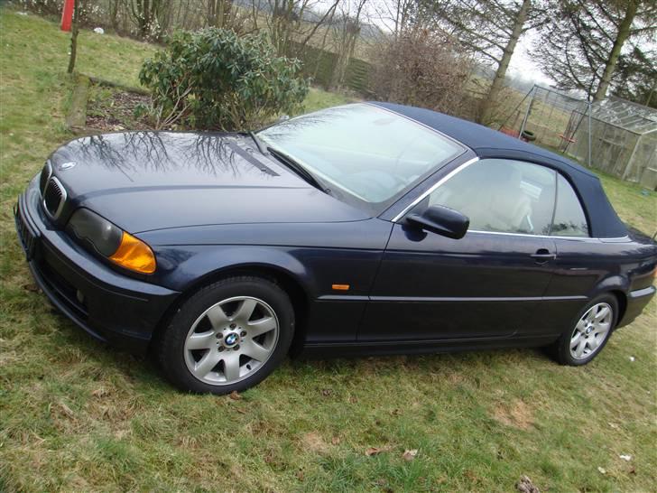 BMW 323i E46 Cabriolet billede 6