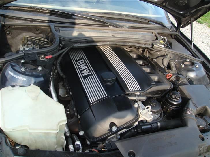 BMW 323i E46 Cabriolet billede 7