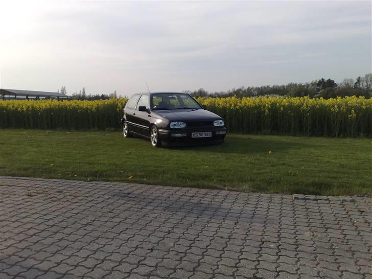 VW Golf 3  billede 9