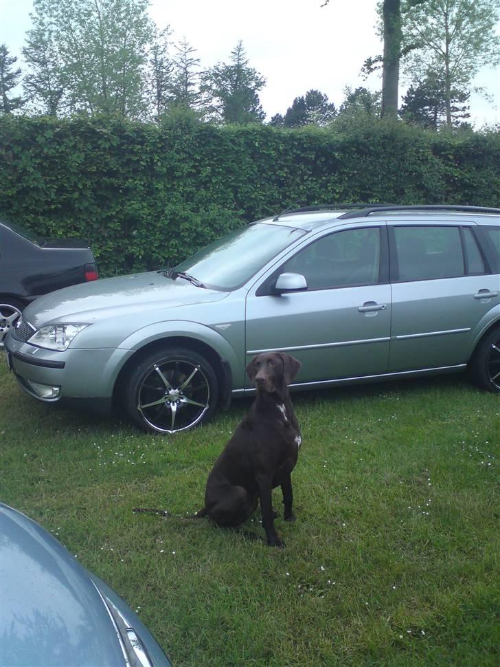 Ford Mondeo 2,0 Trend St. Car - så kom der sgu 18" på...! NICE.. +jagthunden billede 14
