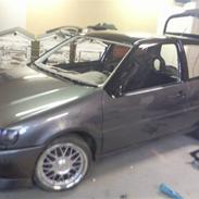 VW Polo 6n Colour concept