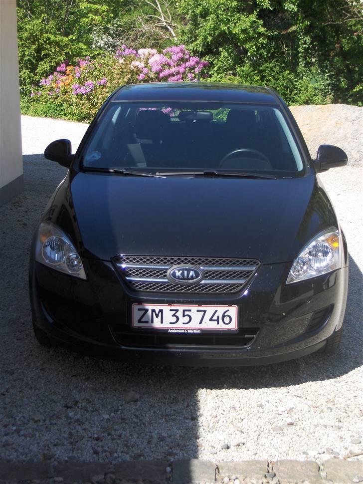 Kia Ceed billede 2