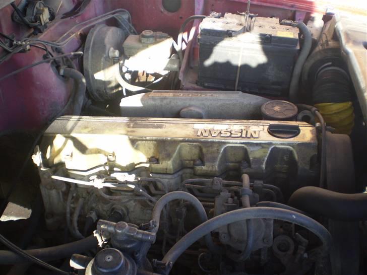 Nissan Patrol billede 13