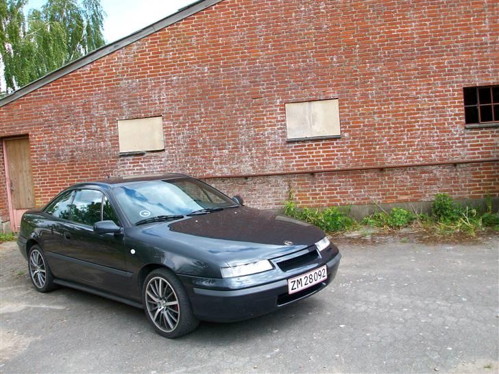 Opel Calibra  billede 8