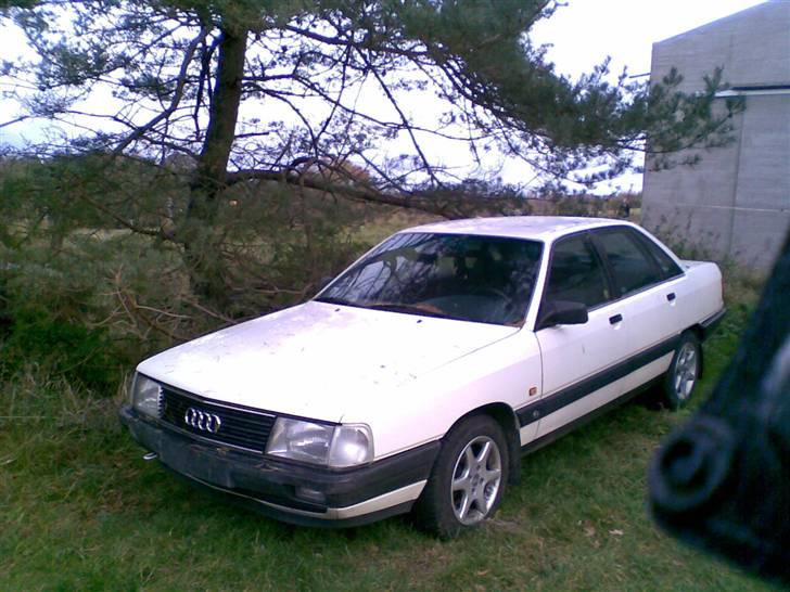 Audi 100 solgt billede 1