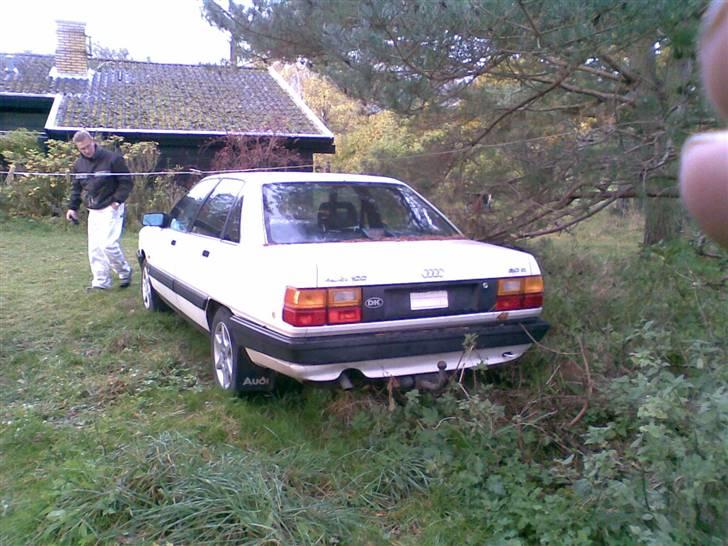 Audi 100 solgt billede 2