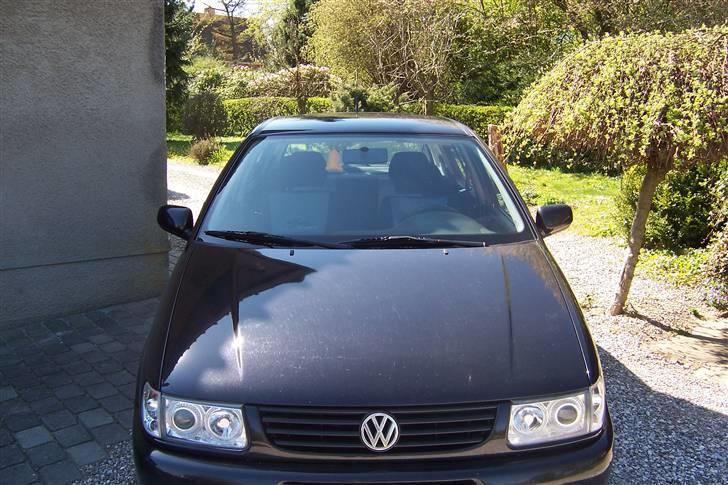 VW polo 6n billede 1