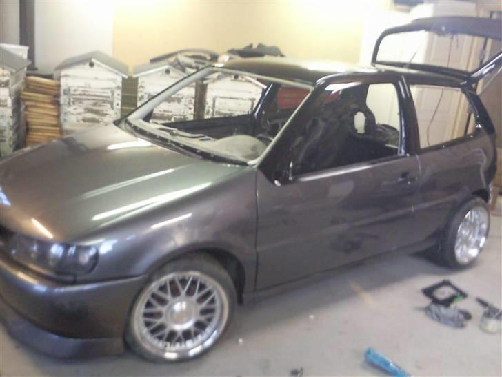 VW Polo 6n Colour concept billede 3